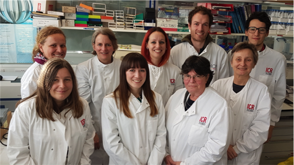 Photo of Sarcoma Molecular Pathology Team
