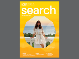 Search newsletter