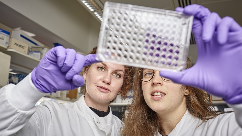 Two scientists in the lab pointing at some samples