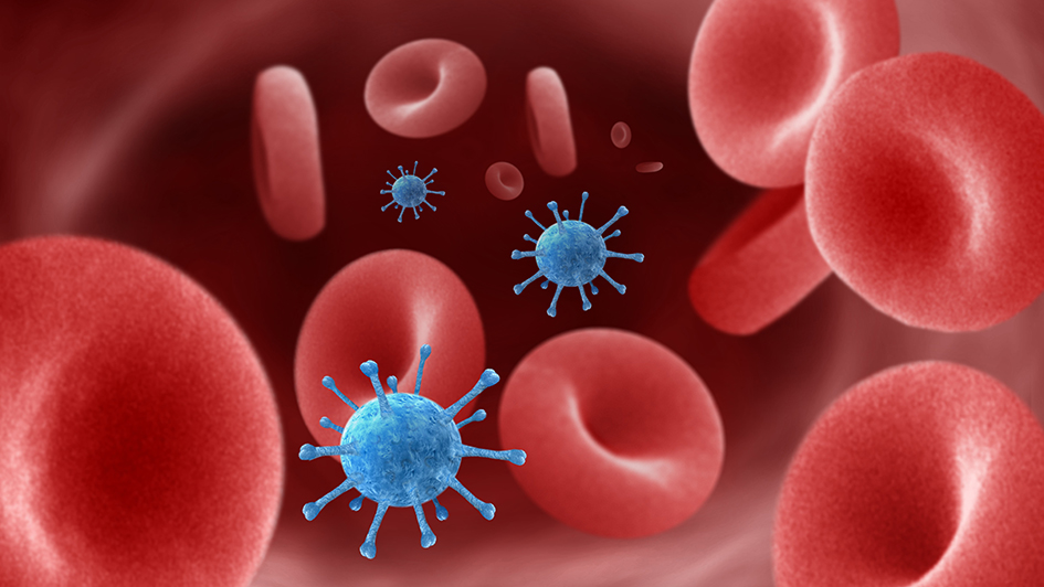 Viruses in the blood stream