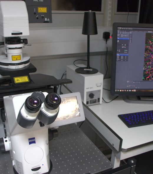 Zeiss LSM700 Confocal Microscope (Sutton)