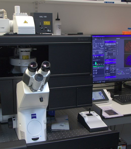 Zeiss LSM980 with Airyscan 2 Confocal Microscope (Sutton)