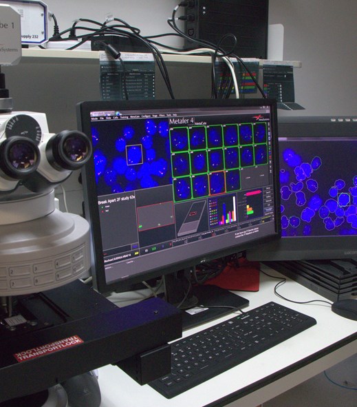 Zeiss Metasystems automated fluorescence and brightfield scanning system (Sutton)