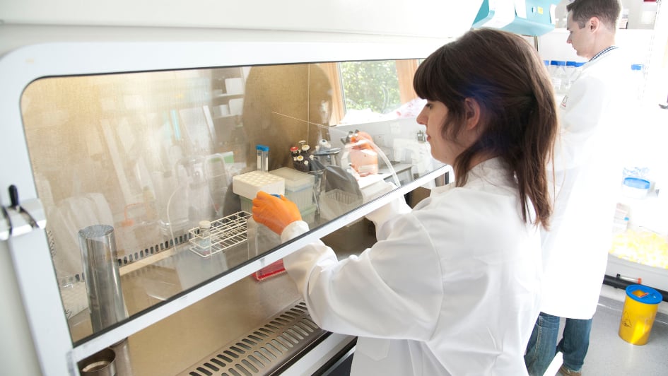 PhD students working in the lab